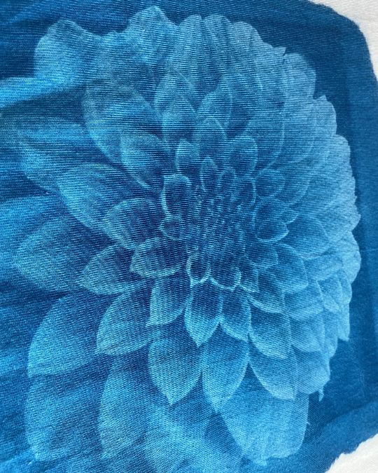 Dahlia Baby Tee