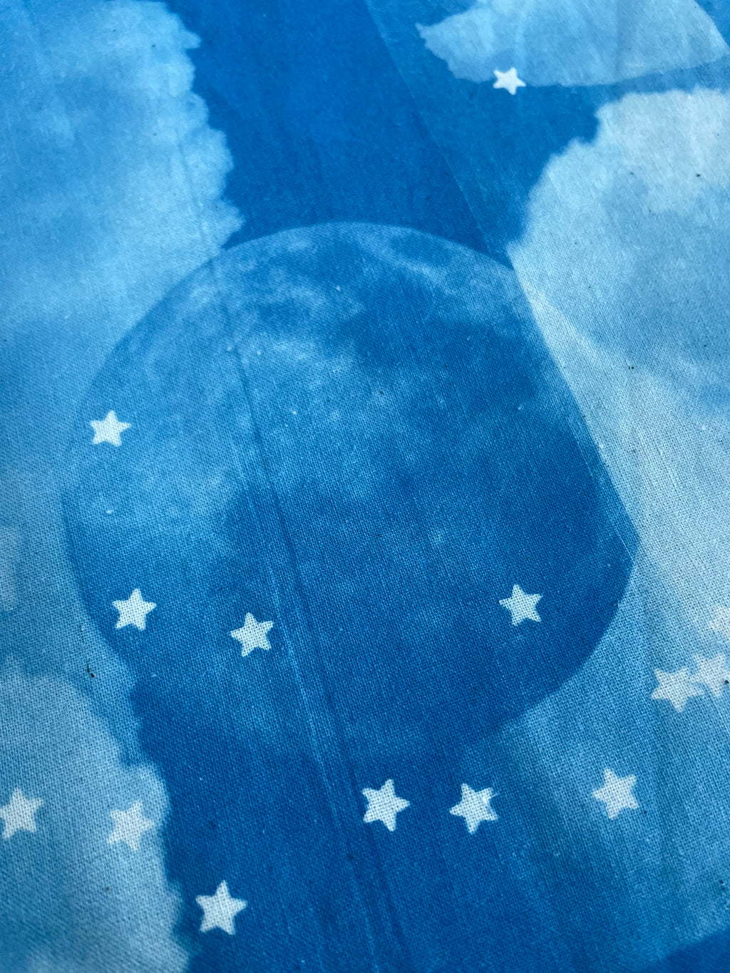 Custom Cyanotype Order