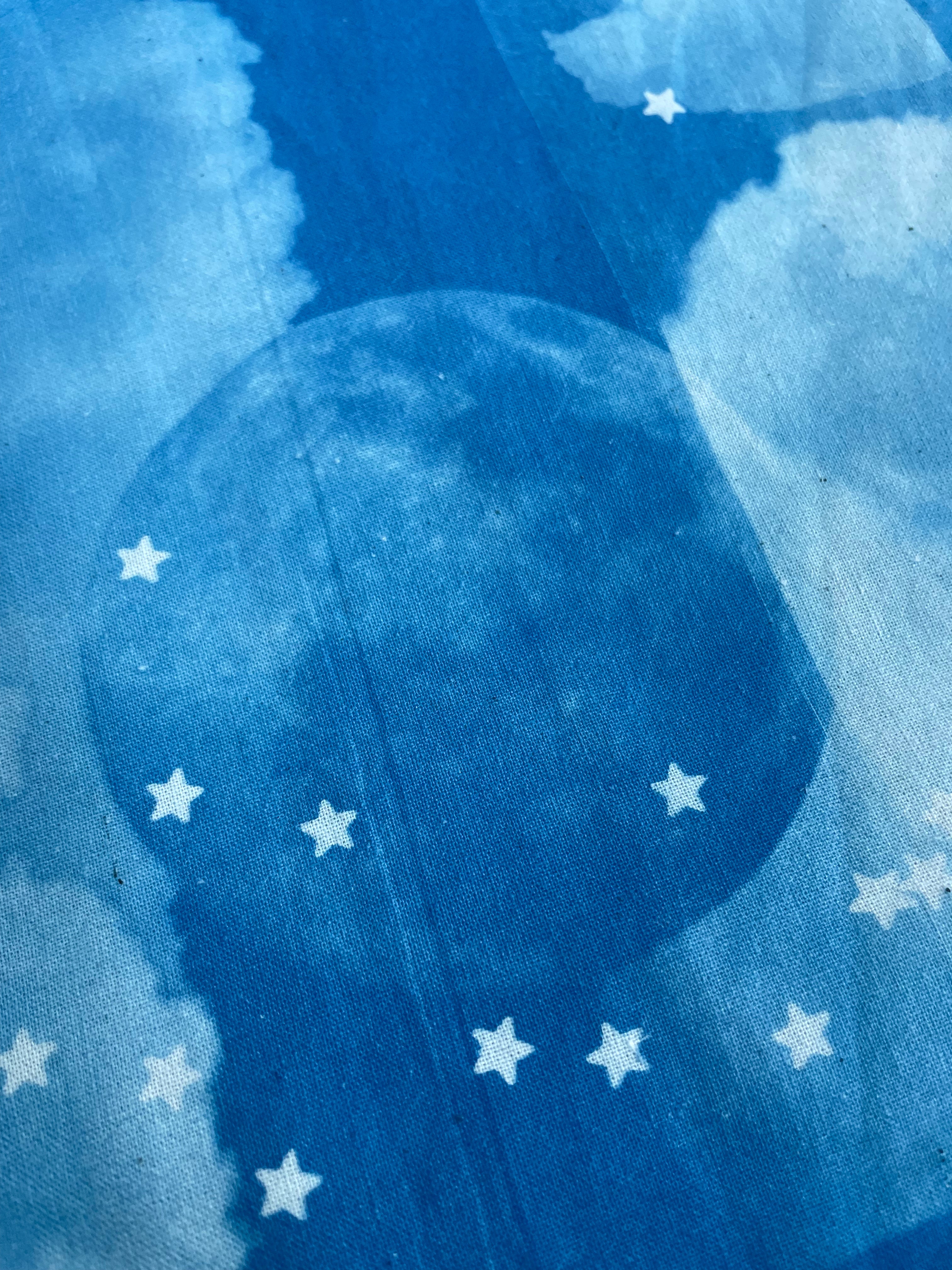 Custom Cyanotype Order