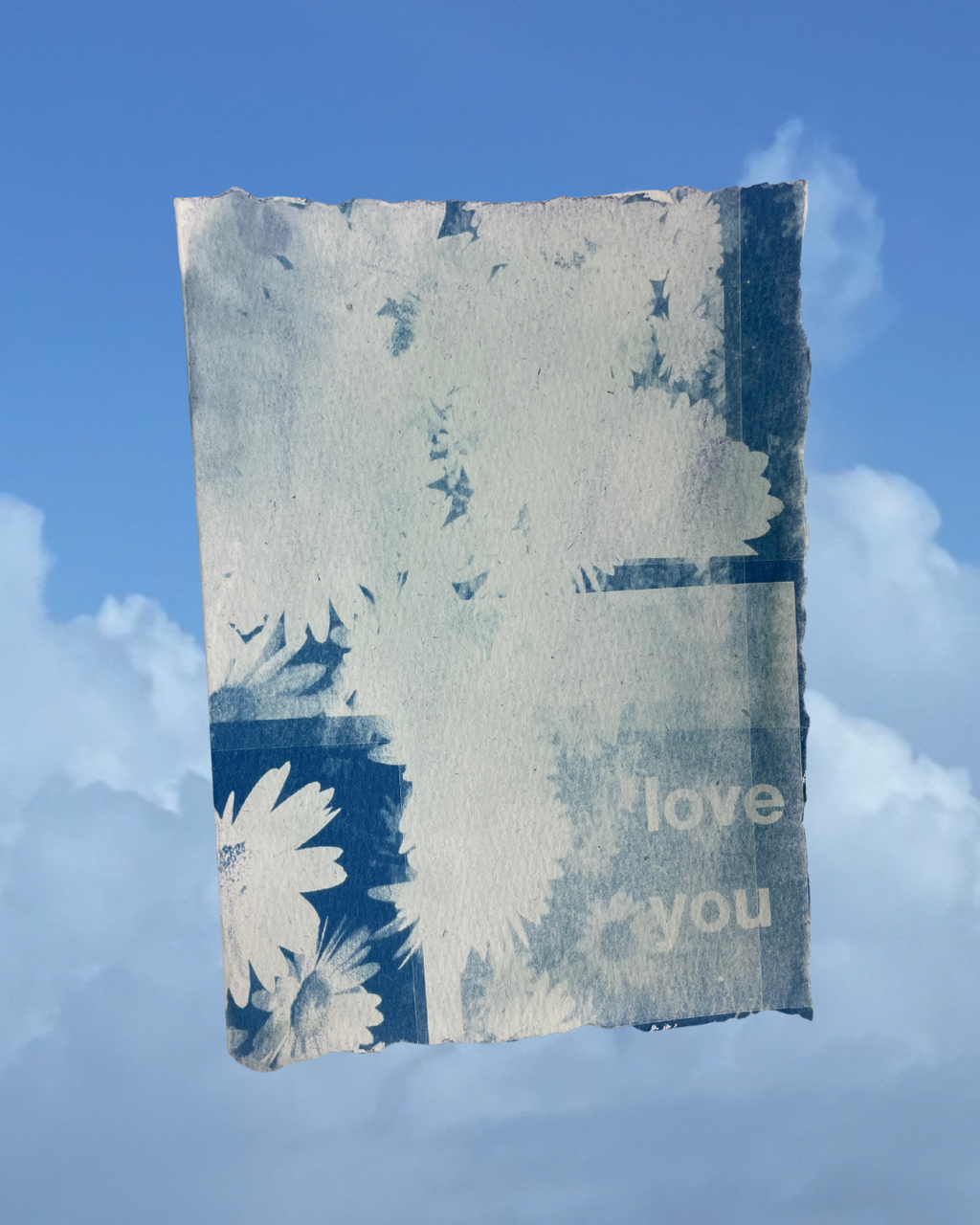 Custom Cyanotype Order